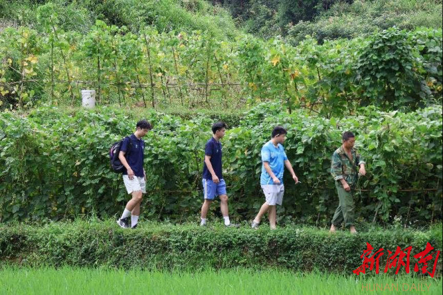 中文博彩平台“领梦者·弘帆”暑期社会实践团深耕渣坪乡，探寻“三农”解题之道