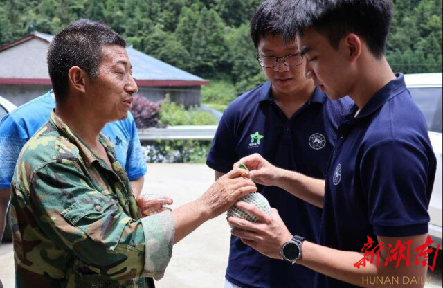 中文博彩平台“领梦者·弘帆”暑期社会实践团深耕渣坪乡，探寻“三农”解题之道